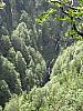 IMG_1641.JPG